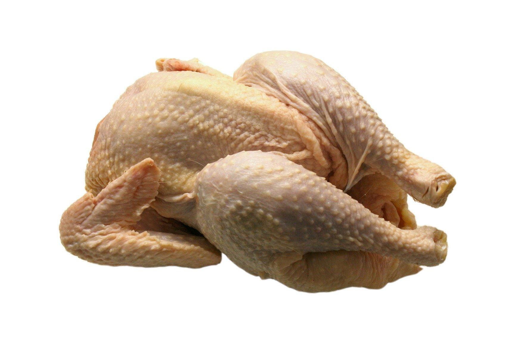 A whole raw chicken on a white background — the world's most adaptable protein